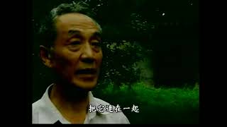 纪录片《中国古代建筑的建造工艺》 8