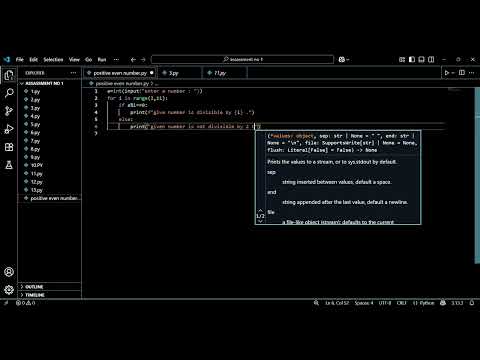 Check Divisibility by Numbers from 2 to 11 | Python Beginner Exercise