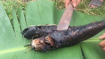 Cá Chuối Nướng Rơm | Cá Lóc Nướng Trui