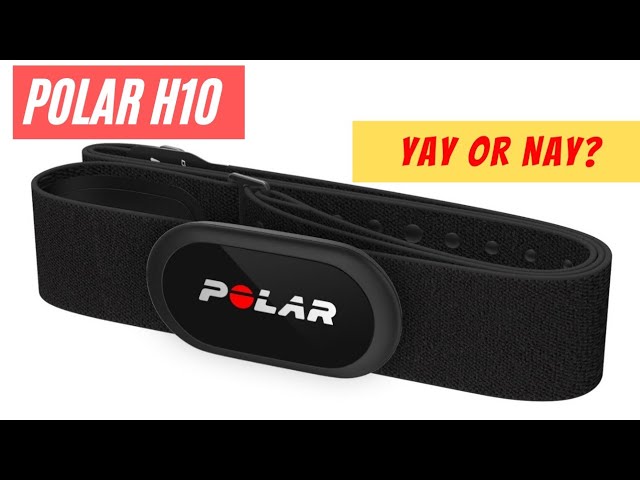 Polar H10 Scientific Review: Best for Heart Rate (99.6% Accurate) 