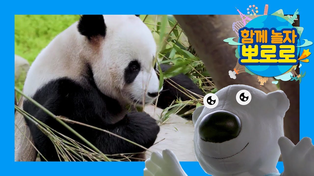 동물원에 간 뽀로로 1  l 동물원에서 놀자! l 함께놀자 뽀로로 l 뽀로로랑 타요랑 뽀요TV