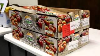 Best Practices for Grading and Packing of Fresh Produce SD