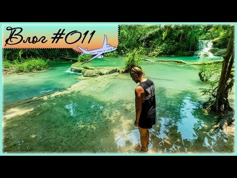 Видео: Как да посетим водопада Куанг Си в Луанг Прабанг, Лаос