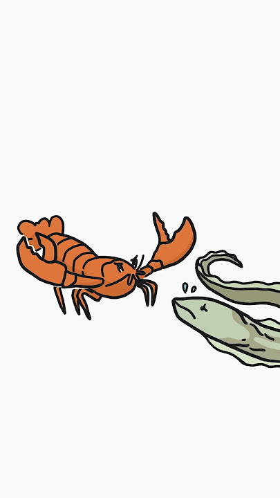 Everything becomes Crab.
