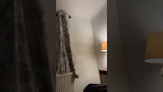 Celebrity Made it to July people pinch punch first video of the month enjoy 😉 Net Worth