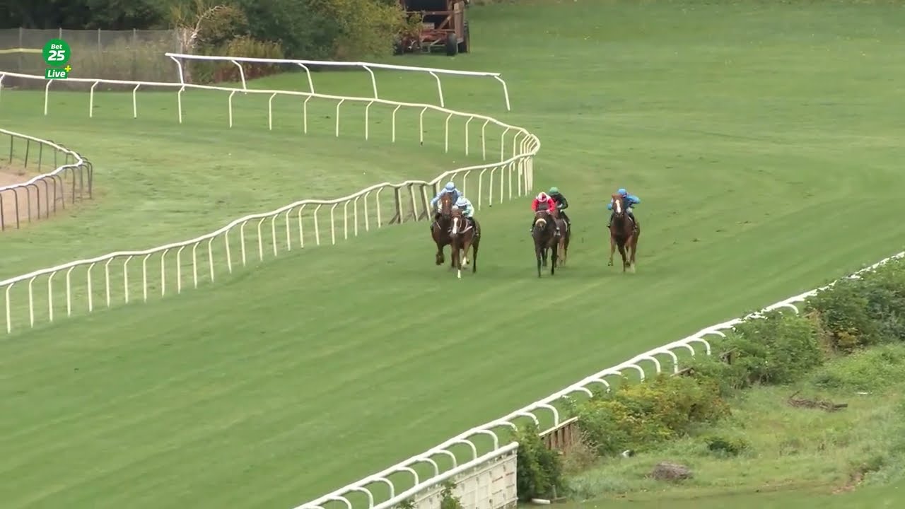 King To Be med Debutsejr