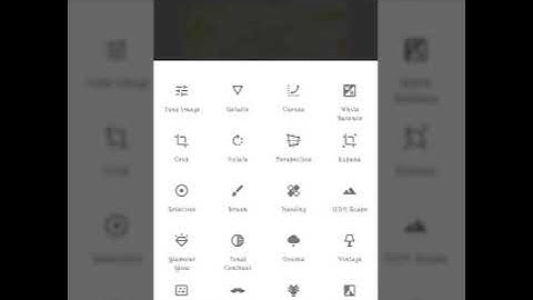 Snapseed Color Effects Editing | Best Color Effect Android App | Snapseed Photo Editing T