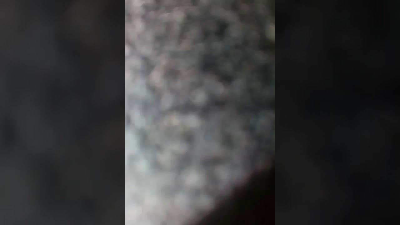 cayenne dog repellent