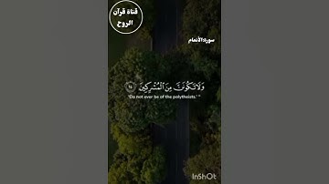 سورة:الأنعام "لولا القرآن لتفطرت قلوبنا من كبد الدنيا والله"💛القارئ أحمد محمد احمدو 🤎