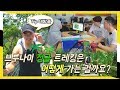 [Brunei 2-3] "브루나이 정글 트레킹은 어떻게 체험할까요?" 만국유람기 브루나이편