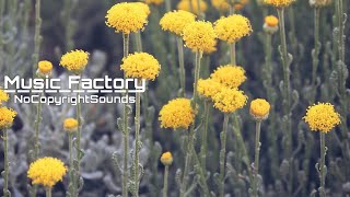 Whistling all the way down - Feet on wood - NoCopyrightSounds [ Music Factory Realise]