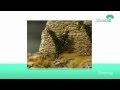 Silhouette Model Railway Accessories - Silflor - miniNatur Trailer 2012 - Diorama Modelling