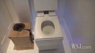 The Royal Flush: A $6400 Toilet