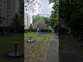 26 мая 2024 г.