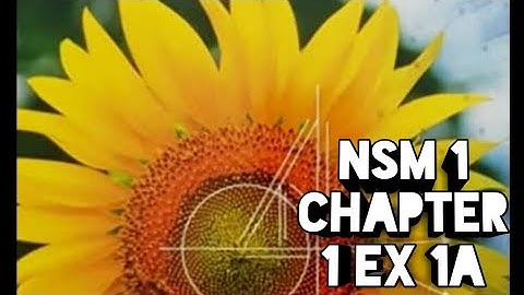 Primes, HCF, LCM, Chapter 1 Ex 1A Q1  NSM1 D1 maths