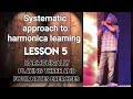 7 systematic approach to harmonica  playing three and four notes exercises harmonically