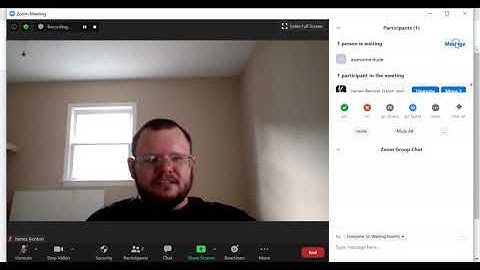 Zoom In Meeting Controls Tutorial