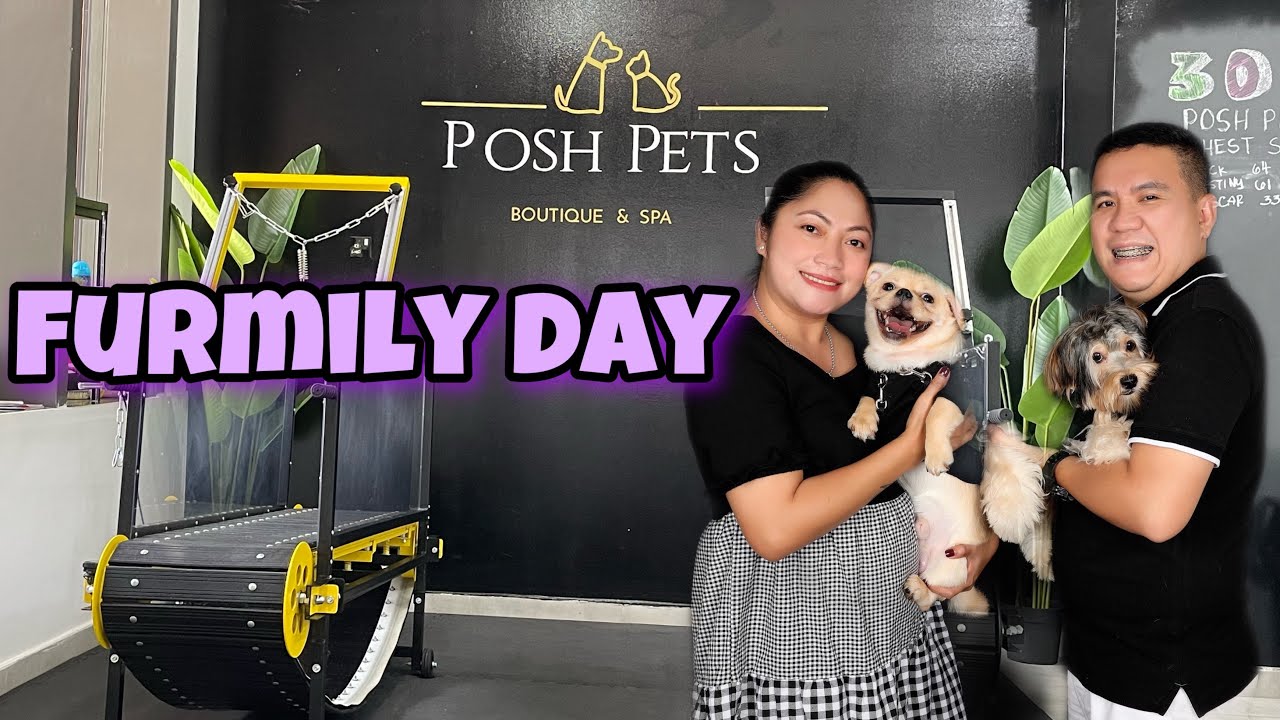 Full Spa for Dosxa Posh Pets Boutique and Spa Al Reem Island Abu