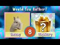 Easter Mystery Fitness Quiz