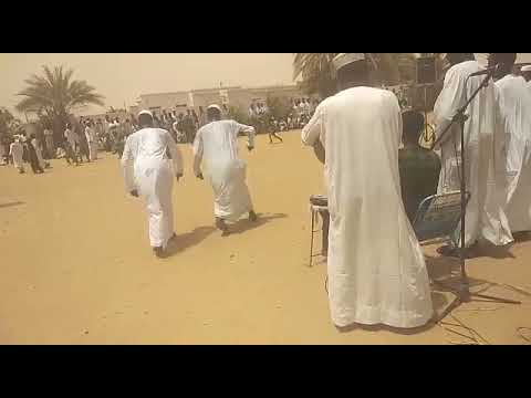 هاشم محجوب وبداااع امجد الركابية