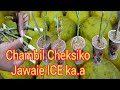 Chambil Czech Republic ICE Ka A Chambil Czech Republic ICE Ka A