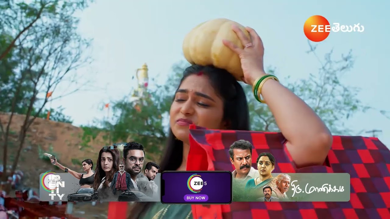 Meghasandesam | Ep - 251 | Webisode | Mar 09 2025 | Zee Telugu