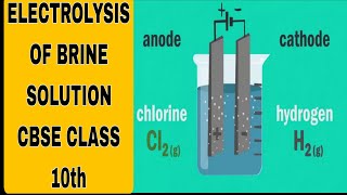 Chlor alkali process|Electrolysis of Brine solution|Nacl| class 10 cbse chemistry important Topics