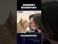 宠物的爱有多纯粹?你的世界很大,它却只黏着你
