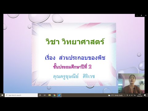 ส่วนประกอบของพืช ป.2