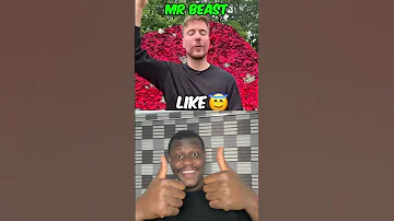 Funny Comedy Mrbeast Challenge Top Duet Lipsyncs Funnypictures Snackablehumor Funnymemes 
