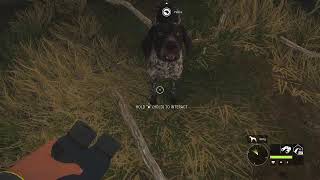 theHunter: Call of the Wild - [No Mic]