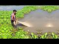 Very Amazing Village Net Fishing - Old Fisherman Catch Fish - Traditional Net Fishing Videos