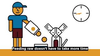 Feeding Raw: 3 Myths About Feeding a Raw Diet Net Worth