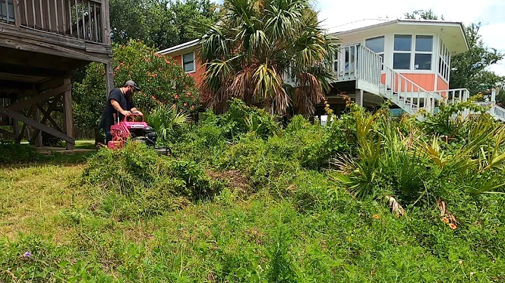 I saw this RANDOM OVERGROWN OCEAN FRONT PROPERTY &...