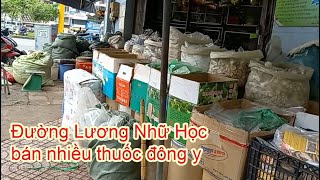 Con Đường Thuốc Đông Y Lương Nhữ Học Con Đường Bán Thuốc Đông Y Ở Sài Gòn Mai Tiền Giang