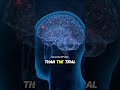 The Moon creates Tidal force across your skull w/Neil deGrasse Tyson