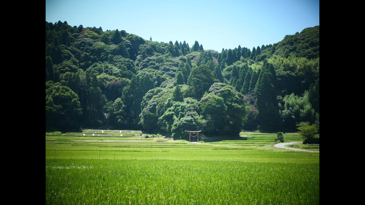 【関東ふれあいの道 千葉】9 昭和の森をたずねるみち （クラン坂・南玉不動尊・（萱野）熊野神社．砂田隧道・土気〜本納駅）