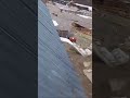 14 апреля 2024 г.