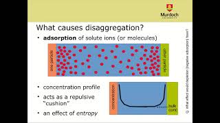 Short video lecture on Particle Aggregation and Surface Forces