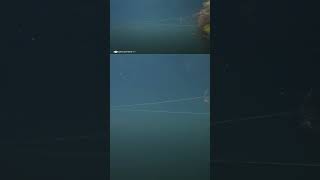 Spro Iris Underdog Jointed W