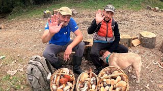 картинка: МОГУТНЯ ГРИБНА ХВИЛЯ!..Закарпаття засипало ГРИБАМИ! Тільки лінивий НЕ збирає ГРИБИ!