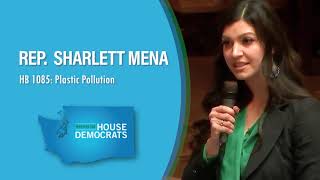 Rep. Mena on HB 1085: Plastic Pollution