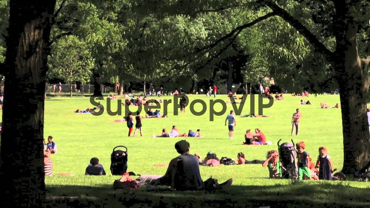 Long shot of people sunbathing at Central Park. Early Sum...