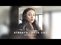 streets - doja cat (slowed + bass boosted)