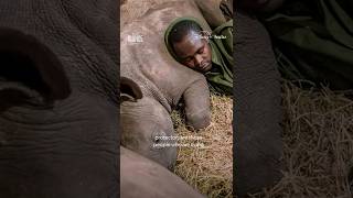 Who are the best protectors for endangered rhinos? Ami Vitale explains 💛 #TheLastRhinosANewHope