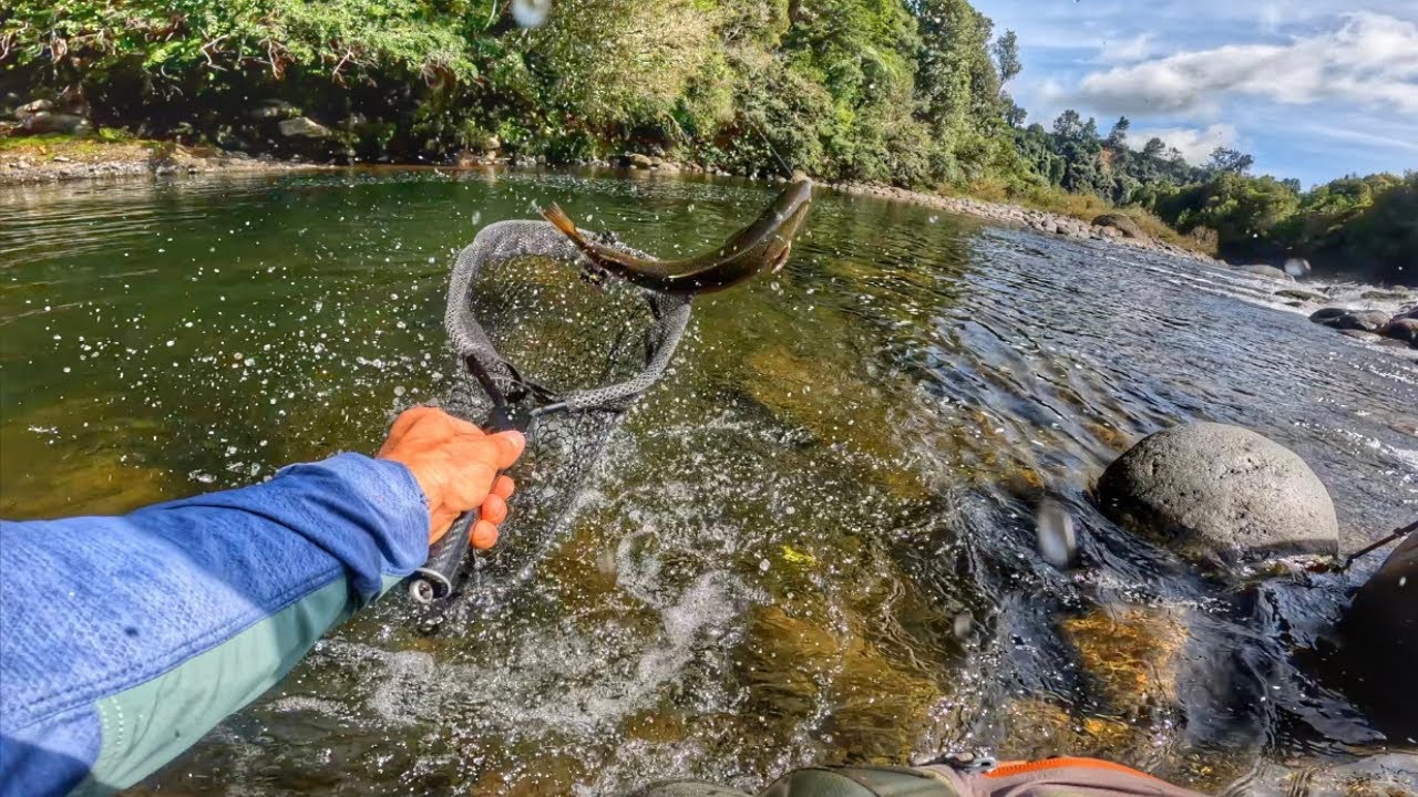 Fishing BIG STREAMERS to LARGE TROUT!! 4K [New Zealand] YouTube