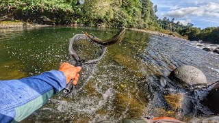 Fishing BIG STREAMERS to LARGE TROUT!! 4K [New Zealand]