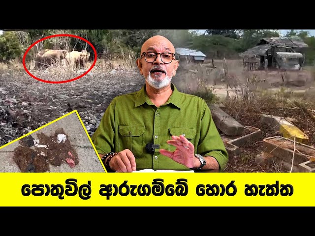 පොතුවිල් ආරුගම්බේ හොර හැත්ත