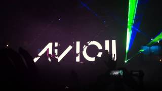 Avicii play Levels, at Ushuaia