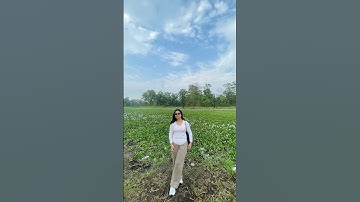 Batuli pokhari #dancehall #travel #lake #photography #fashion #chitwan #nature #remix #newmusic
